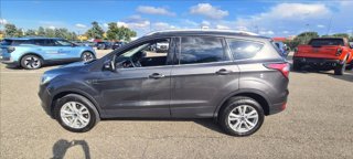 FORD Kuga 1.5 tdci Business s&s 2wd 120cv my19.25