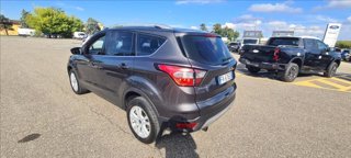 FORD Kuga 1.5 tdci Business s&s 2wd 120cv my19.25