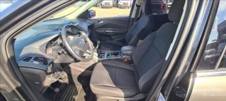 FORD Kuga 1.5 tdci Business s&s 2wd 120cv my19.25