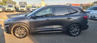 FORD Kuga 2.0 ecoblue ST-Line X 2wd 120cv auto