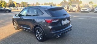 FORD Kuga 2.0 ecoblue ST-Line X 2wd 120cv auto