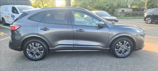 FORD Kuga 2.0 ecoblue ST-Line X 2wd 120cv auto