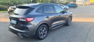 FORD Kuga 2.0 ecoblue ST-Line X 2wd 120cv auto