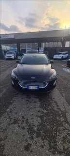 FORD Focus 1.5 ecoblue Business s&s 95cv