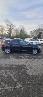 FORD Focus 1.5 ecoblue Business s&s 95cv