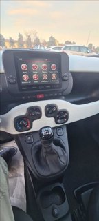 FIAT Pandina 1.0 firefly hybrid Icon s&s 70cv