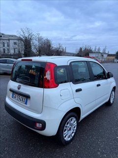 FIAT Panda 1.2 Easy 69cv
