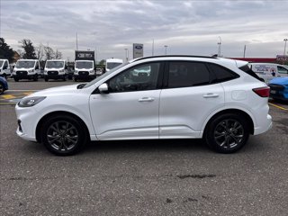 FORD Kuga 2.5 full hybrid ST-Line 2wd 190cv cvt