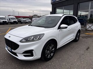 FORD Kuga 2.5 full hybrid ST-Line 2wd 190cv cvt