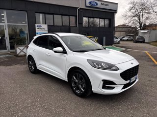 FORD Kuga 2.5 full hybrid ST-Line 2wd 190cv cvt