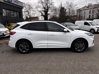FORD Kuga 2.5 full hybrid ST-Line 2wd 190cv cvt