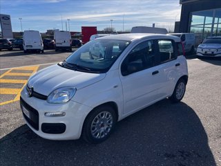 FIAT Panda 1.0 firefly hybrid s&s 70cv 5p.ti