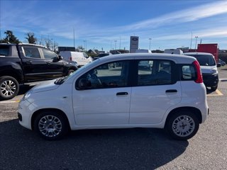 FIAT Panda 1.0 firefly hybrid s&s 70cv 5p.ti