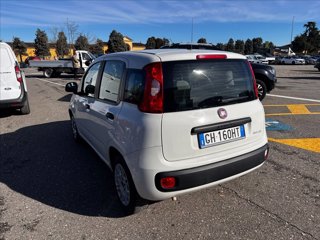 FIAT Panda 1.0 firefly hybrid s&s 70cv 5p.ti