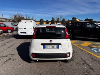 FIAT Panda 1.0 firefly hybrid s&s 70cv 5p.ti