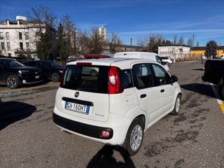 FIAT Panda 1.0 firefly hybrid s&s 70cv 5p.ti