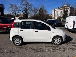 FIAT Panda 1.0 firefly hybrid s&s 70cv 5p.ti