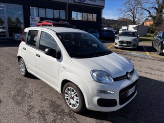 FIAT Panda 1.0 firefly hybrid s&s 70cv 5p.ti