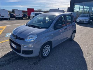 FIAT Panda 1.0 firefly hybrid s&s 70cv 5p.ti