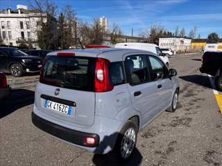 FIAT Panda 1.0 firefly hybrid s&s 70cv 5p.ti