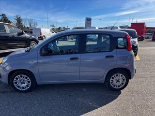 FIAT Panda 1.0 firefly hybrid s&s 70cv 5p.ti