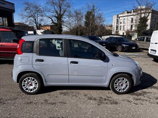 FIAT Panda 1.0 firefly hybrid s&s 70cv 5p.ti