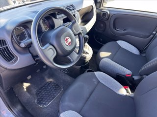 FIAT Panda 1.0 firefly hybrid s&s 70cv 5p.ti