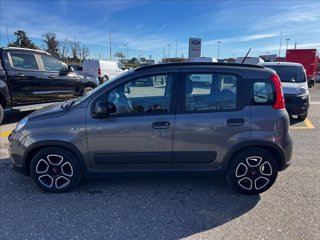 FIAT Panda 1.0 firefly hybrid s&s 70cv 5p.ti