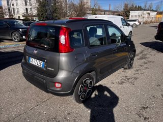 FIAT Panda 1.0 firefly hybrid s&s 70cv 5p.ti
