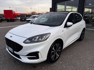 FORD Kuga 1.5 ecoblue ST-Line 2wd 120cv