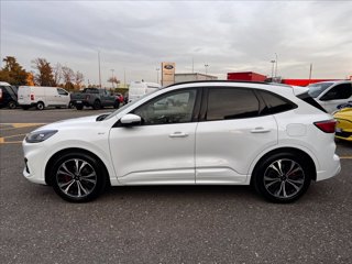 FORD Kuga 1.5 ecoblue ST-Line 2wd 120cv