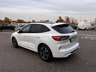 FORD Kuga 1.5 ecoblue ST-Line 2wd 120cv