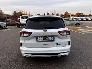 FORD Kuga 1.5 ecoblue ST-Line 2wd 120cv