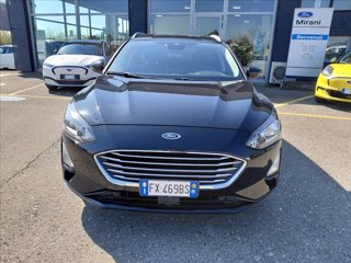 FORD Focus SW 1.5 ecoblue Business s&s 120cv