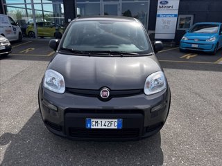 FIAT Panda 1.0 firefly hybrid s&s 70cv
