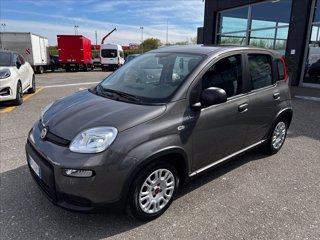 FIAT Panda 1.0 firefly hybrid s&s 70cv