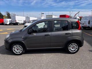 FIAT Panda 1.0 firefly hybrid s&s 70cv
