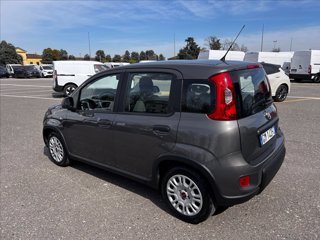 FIAT Panda 1.0 firefly hybrid s&s 70cv