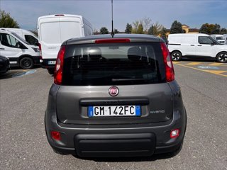 FIAT Panda 1.0 firefly hybrid s&s 70cv