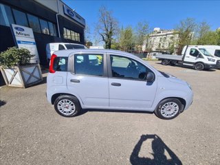 FIAT Panda 1.0 firefly hybrid s&s 70cv 5p.ti