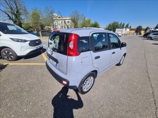 FIAT Panda 1.0 firefly hybrid s&s 70cv 5p.ti