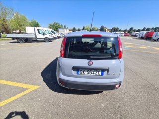 FIAT Panda 1.0 firefly hybrid s&s 70cv 5p.ti