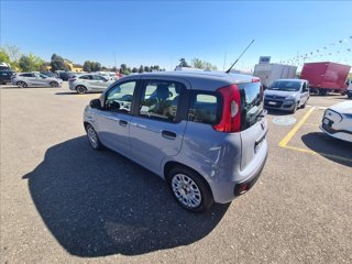 FIAT Panda 1.0 firefly hybrid s&s 70cv 5p.ti