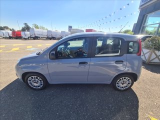 FIAT Panda 1.0 firefly hybrid s&s 70cv 5p.ti