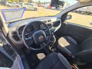 FIAT Panda 1.0 firefly hybrid s&s 70cv 5p.ti