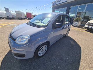 FIAT Panda 1.0 firefly hybrid s&s 70cv 5p.ti