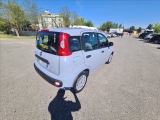 FIAT Panda 1.0 firefly hybrid s&s 70cv 5p.ti