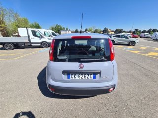 FIAT Panda 1.0 firefly hybrid s&s 70cv 5p.ti