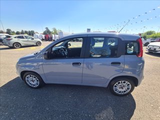 FIAT Panda 1.0 firefly hybrid s&s 70cv 5p.ti