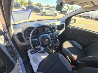 FIAT Panda 1.0 firefly hybrid s&s 70cv 5p.ti
